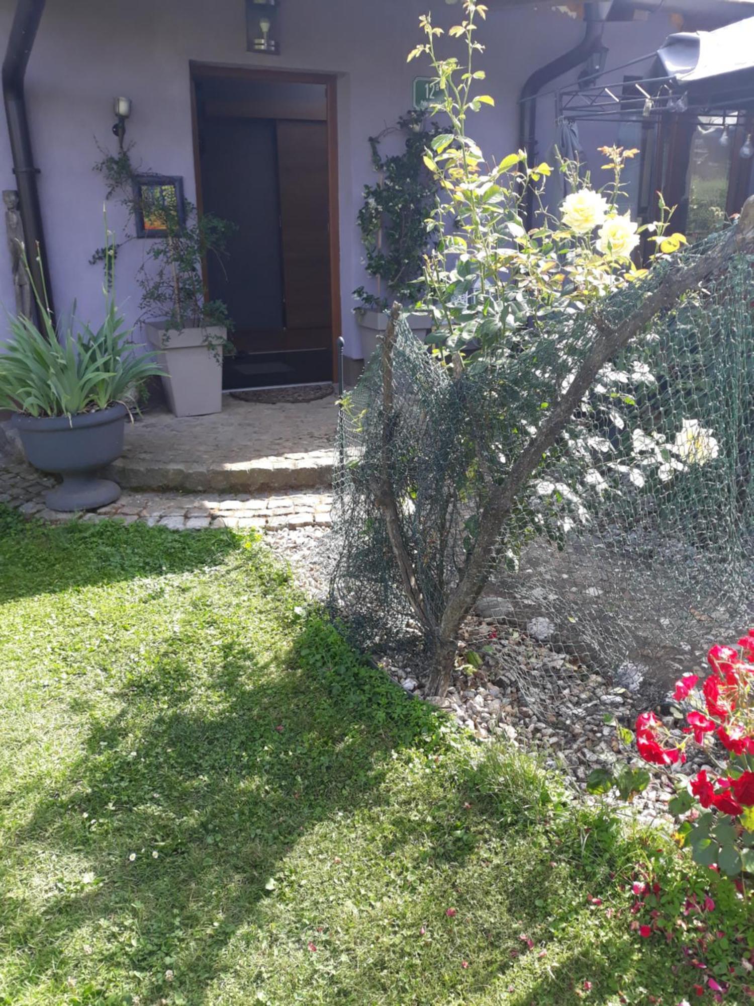 Rose Room 40M2 With Terrace 25M2 In Greeny Area For 4 Person Ljubljana Exterior photo